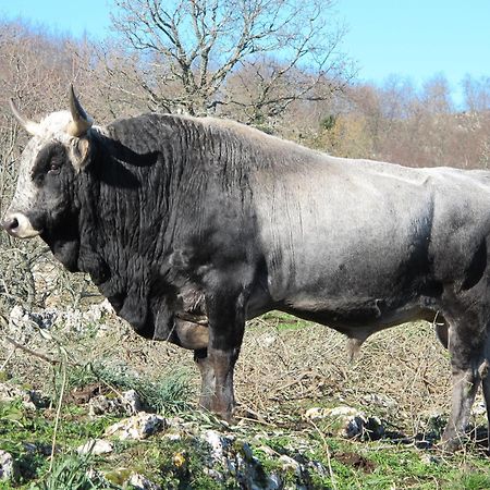 Agriturismo Monte Sacro ماتيناتا المظهر الخارجي الصورة